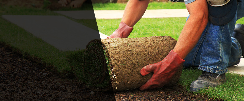 Seymour Landscapers